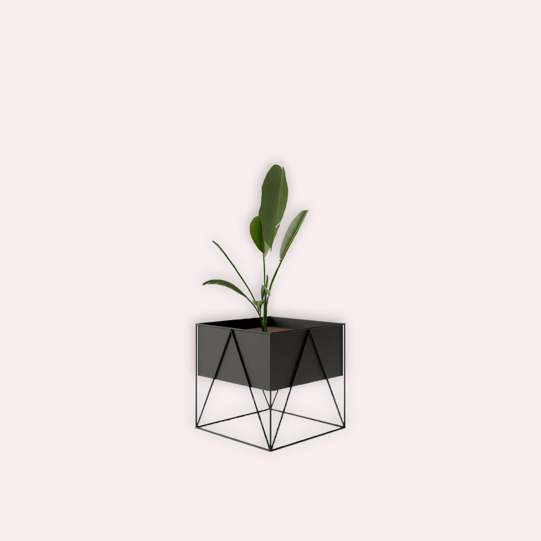 PLANT STANDS