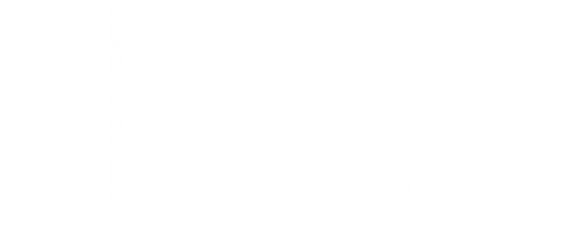 Fast Delivery